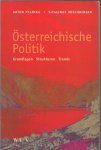 pelinka, anton, rosenberger, sieglinde - österreichische politik