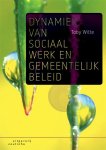 Toby Witte - Dynamiek van sociaal werk en gemeentelijk beleid