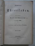 Brehm, A.F.. - Brehms Thierleben. Allgemeine Kunde des Thierreichs. Mit Abbildungen, ausgeführt unter Leitung von R. Kretschmer. Zweiter Band.