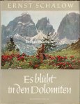 Schälow, Ernst - Es blüht in den Dolomiten