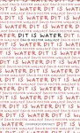 David Foster Wallace - Dit is water