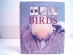 Mcghee, Karen - The Encyclopedia of Birds, a complete visual guide.