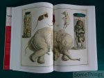 Albertus Seba / Irmgard Musch and Rainer Willmann (ed.) - Abertus Seba. Cabinet of natural curiosities. The complete plates in colour 1734-1764. / Das Naturalienkabinett. / Le cabinet des curiosités naturelles. Albertus Seba / Irmgard Musch and Rainer Willmann (ed.) - Abertus Seba. Cabinet of natural curiosities. The complete plates in colour 1734-1764. / Das Naturalienkabinett. / Le cabinet des curiosités naturelles.