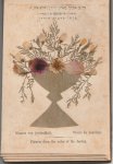  - blumen von heiligen lande jerusalem