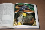 H. Hieronimus - Welse  -- Biologie und Haltung in der aquaristischen Praxis  (De meerval)