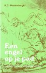 Moolenburgh, H.C. - Een engel op je pad / honderd en een engelenervaringen