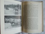 Brehm, A.E.; W. Koch [bewerking; R. Blijstra [red. vert.] - Het leven van de dieren (5 delen) COMPLETE SERIE. 1.Zoogdieren I; 2. Zoogdieren II; 3. Vogels; 4.Kruipende dieren,tweeslachtige dieren, visschen; 5.Ongewervelde dieren