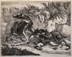 Joannes Fijt (1611-1661) - Antique print, etching | Two dogs, plate two of the set of the dogs, published 1642, 1 p.