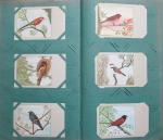  - Album met 120 vogelkaarten (briefkaartformaat)  van  Koninklijke P. Sluis Pluimvee en Vogelvoederfabrieken N.V. Weesperkarspel