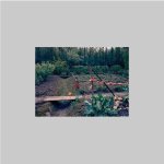 Luijendijk, Martin (Maassluis, 1958) - Allotment garden.