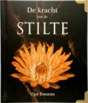Vijay Eswaran - De kracht van de stilte