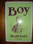 Dahl, Roald - Boy. Jeugdverhalen