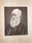 antique print (prent) - Charles Robert Darwin.
