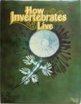 Kaye Mash 253520 - How Invertebrates Live