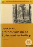 Reusink, H.J. - Leersum, grafheuvels op de Zuilensteinsche Kop