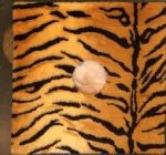 Beek, Wim van der - Fns Schobber.  Urge