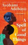 Adebayo, Ayobami - A Spell of Good Things