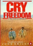John Briley - Cry freedom