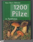 Rose Marie Dähncke - 1200 Pilze in Farbfotos
