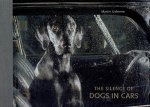 USBORNE, Martin - Martin Usborne - The Silence of Dogs in Cars. - [First edition].