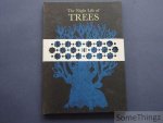Durga Bai Bhajju Shyam Ram Singh Urveti. - The Night Life of Trees. Durga Bai Bhajju Shyam Ram Singh Urveti. - The Night Life of Trees.