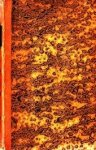Edouard-Marie-Joseph Lepan - Vie politique, littéraire et morale de Voltaire, où l`on réfute Condorcet et ses autres historiens, en citant et rapprochant un grand nombre de faits inconnus et très-curieux