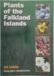 Ali Liddle 254896 - Plants of the Falkland Islands