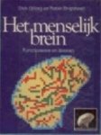 Dick Gilling & Robin Brightwell - Het menseijk brein    Functioneren en denken