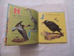 Margaret Barr - illustrated by J.B. Long. Verses by Margaret Barr. - My A.B.C. picture book of birds