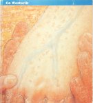 Co Westerik 22916 - Co Westerik Stedelijk Museum Amsterdam, 23.11.1991-12.1.1992