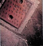 Bogle, Andrew - Down to Earth: Boyle Family in New Zealand