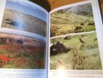 Panov, EN - Wheatears of Palearctic - Ecology, Behaviour and Evolution of the Genus Oenanthe (Tapuit)
