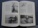 van der Heijden, Cor / Rooijakkers, Gerard. - Kempische boeren en Vlaamse vissers : kunstenaars en volkscultuur omstreeks 1885 : Victor de Buck en Joseph Gindra.