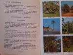 Arrecgros, J. - Petit guide panoramique de la Flore Mediterranéenne