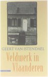 Geert van Istendael - Veldwerk in Vlaanderen : verhalen