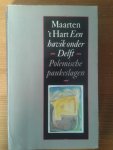 Hart, Maarten 't - Een havik onder Delft - Polemische paukeslagen en andere kritische beschouwingen