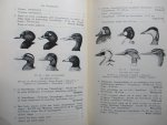 Verheyen, - De eendvogels van België.
