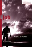 Henk Bondt - Job