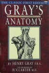 Henry Gray - Gray's Anatomy