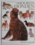Taylor, David; vert. Bruin, Stephe - Het mooiste honden boek  [hondenboek]