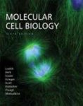 Harvey Lodish 20164 - Molecular Cell Biology