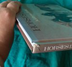  - Horses In Art Address Book