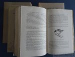 Chapin, James P. - The birds of the Belgian Congo. (4 volumes).