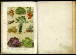 HEYDE, Bertha - Die kleine Puppenköchin. Praktische Anleitung zum Kochen. Mit (4) farbigen tafeln und Textillustrationen.