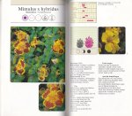 Meeus, Marcel - Courante zaaibloemen