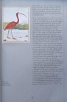 Cortazar, Julio. / Zotl, Aloys/ - Das Bestiarium von Aloys Zötl (1803 - 1887)., Mit einem Vorwort von Franco Maria Ricci. Mit einem Text von Julio Cortazar: