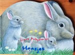  - Kleine kartonboekjes: haasjes