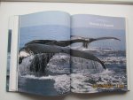 Cousteau, Jaques-Yves  &  Yves Paccalet - Whales.  A magnificent tribute to the word's most intriguing creatures