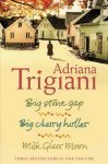 Trigiani, Adriana - Big Stone Gap Trilogy