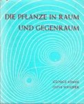 Adams, George / Whicher, Olive - Die Pflanze in Raum und Gegenraum. Elemente einer neuen Morphologie